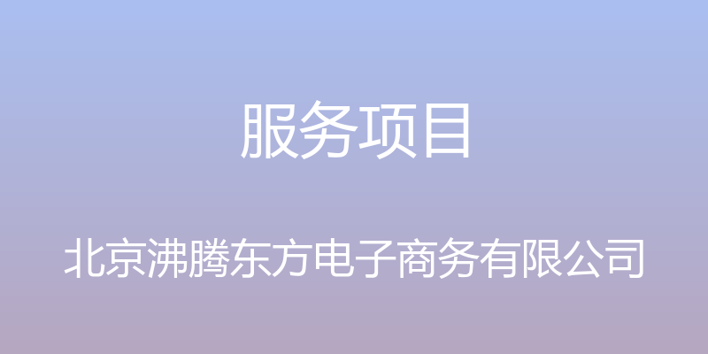 服务项目 - 北京沸腾东方电子商务有限公司