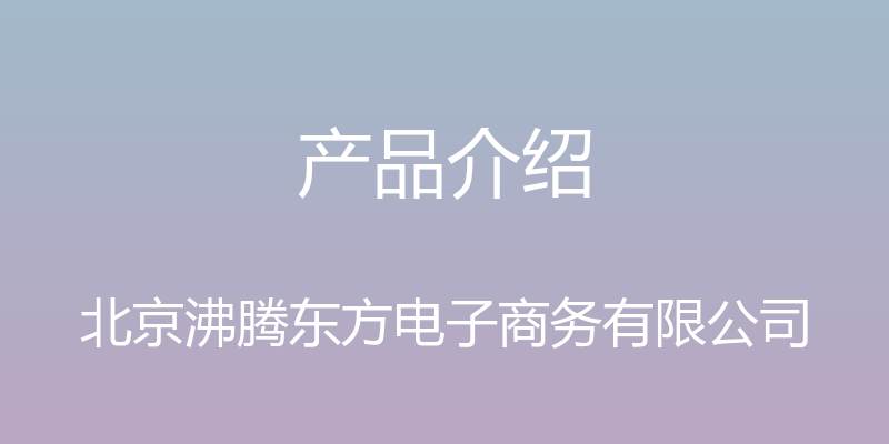 产品介绍 - 北京沸腾东方电子商务有限公司